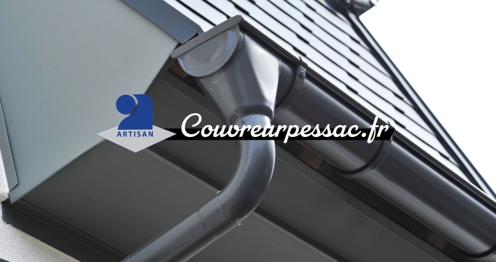 Nettoyage toiture Bordeaux : urgence toiture Gironde avec Nil CLIVAZ